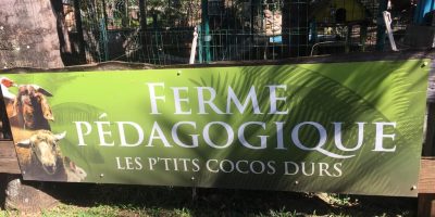 MAC ART  TEA   ZEN : Les plus jeunes à la Maison COCO de St Leu