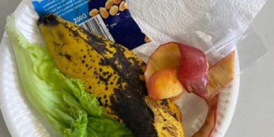Que deviennent les déchets organiques?