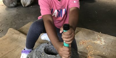 Les petits à la ferme pédagogique du domaine COCO