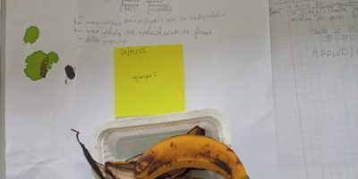 Des biodéchets dans notre école