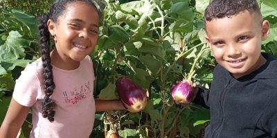 Récoltons les fruits de nos efforts dans le potager de Bois Joli Cœur