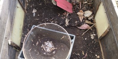 Récupération du compost