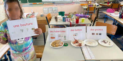 Plantation de graines,  de bulbes, de tubercules et de boutures !