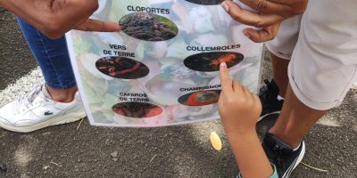 Les artisans du compost