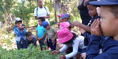 Sortie pédagogique au domaine Coco de la Pointe des Chateaux