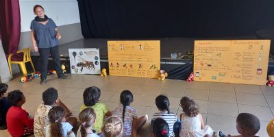 importance des insectes (pollinisation)