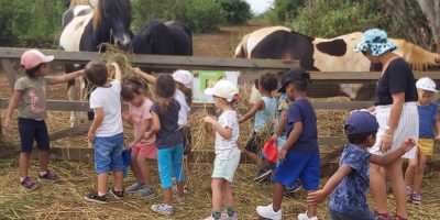 Sortie à la ferme Crescence des PS-MS : la vie à la ferme