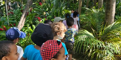 Visite à la maison du coco