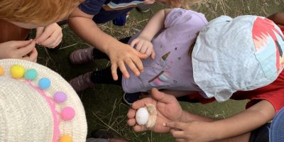 Visite de la ferme Crescence