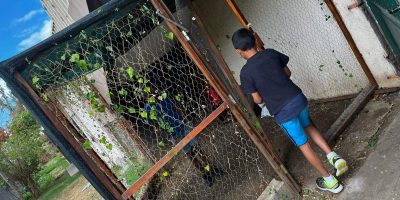Création du jardin partagé de l’école