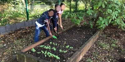 Nos plantations