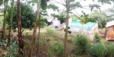Visite des l’exploitation du Pied à l’étrier aux Colimaçons par l’école de Stella