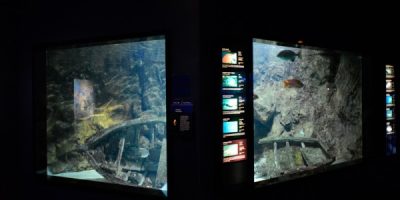 Visite de l’aquarium de Saint Gilles – CM2