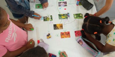 C’est quoi la biodiversité ?