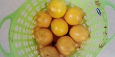 LA COLLATION DES MS