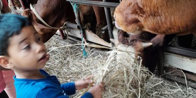 Alon bat karé la ferme Crescence