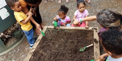 Plantation et observation de la vie dans le jardin