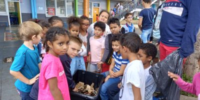 Mise en place de notre lombricomposteur