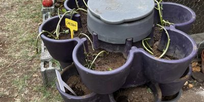 Le jardicomposteur où comment trier les déchets à la récréation?