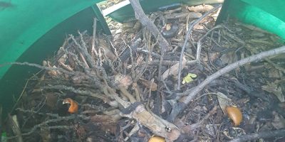 Compost à l’école