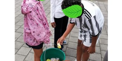 Du compost à l’école!
