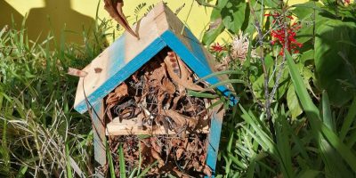Un hôtel à insectes