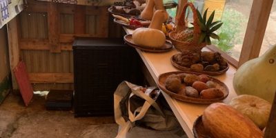 Le jardin du KAN des MARRONS, un lieu où se mêlent patrimoine et biodiversité