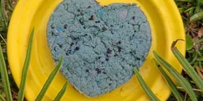 Coeur en fèt