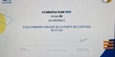 Eco-Ecole Labellisation niveau 🏆OR pour année avec un retour constructif