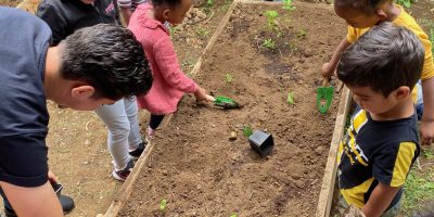 NOTRE POTAGER EN MATERNELLE