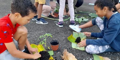 On a planté sur des bottes de paille !