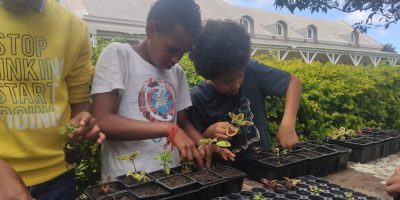 Les petits horticulteurs