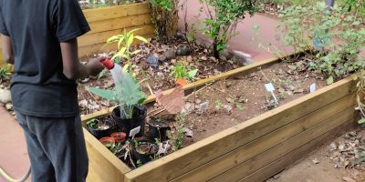 Un jardin ça s’entretient