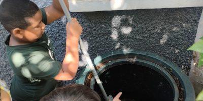 La magie du compost
