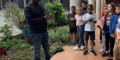 Une rentrée au frais et au vert à Estella Clain