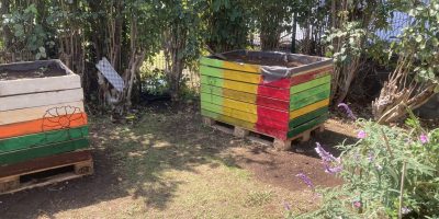 Plantons à l’école!