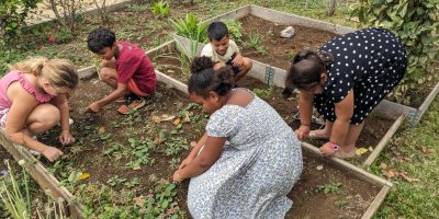 Jardinage : remise en route !