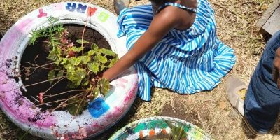Plantations dans des jardinières originales: des vieux pneus recyclés!