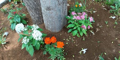 Embellissement de la cour Maternelle