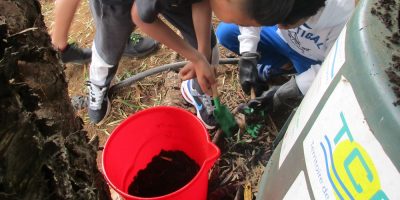 Des nouvelles de notre compost