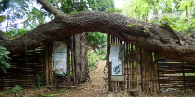Visite de toute l’école au jardin de Fond Imar