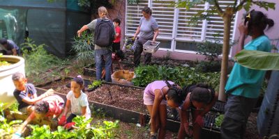 Premières récoltes et plantations de l’année à l’école de Stella avec l’association Le Pied à l’Etrier
