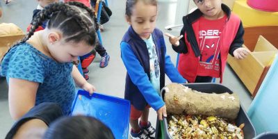 Produire notre compost et notre lombricompost