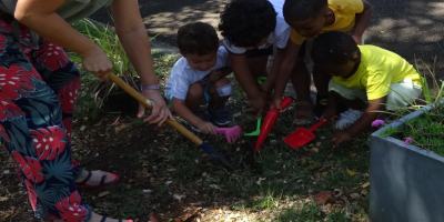 Jardinage avec des petites sections