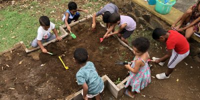 Le potager des PS/MS