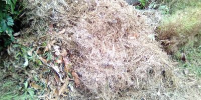Préparation du compost