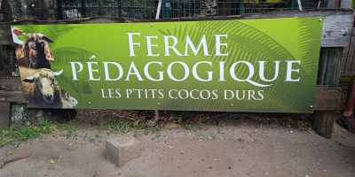 Avec nos déchets, pensons aux animaux !