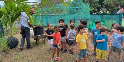 Evolution, partage et utilisation du Compost