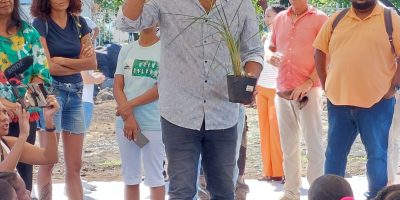 Plantation de riz