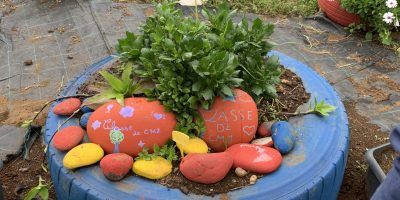 Notre ATE: avant, pendant et après/ La biodiversité dans notre jardin